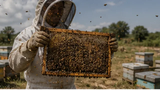 The Beekeepers' Year — preview artwork still